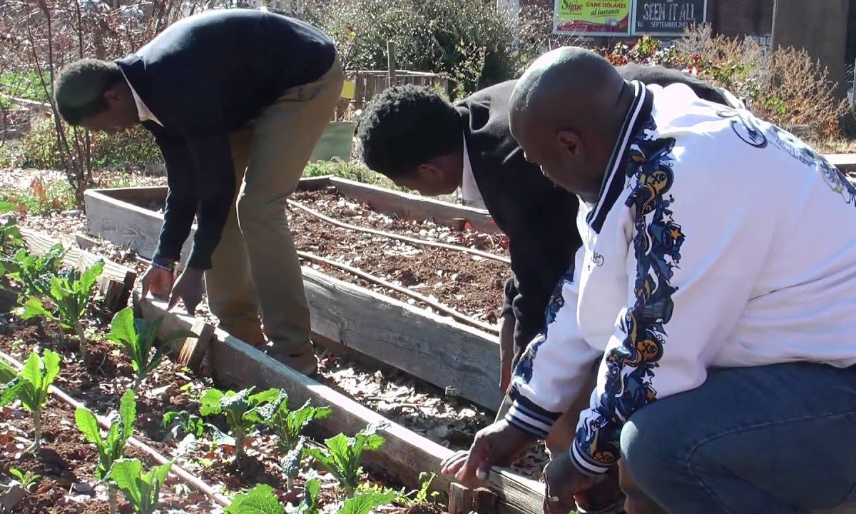 HOPE Global Forums 2015 – Pitch Competition Interviews