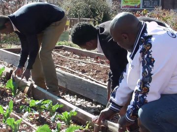 HOPE Global Forums 2015 – Pitch Competition Interviews